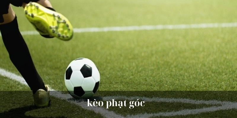 Avt kèo phạt góc tại ww88